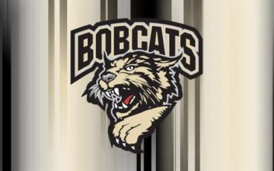 Meet the Cats