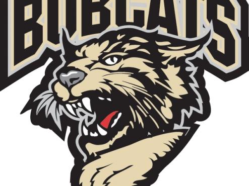 Bobcats-Tauros Postponed