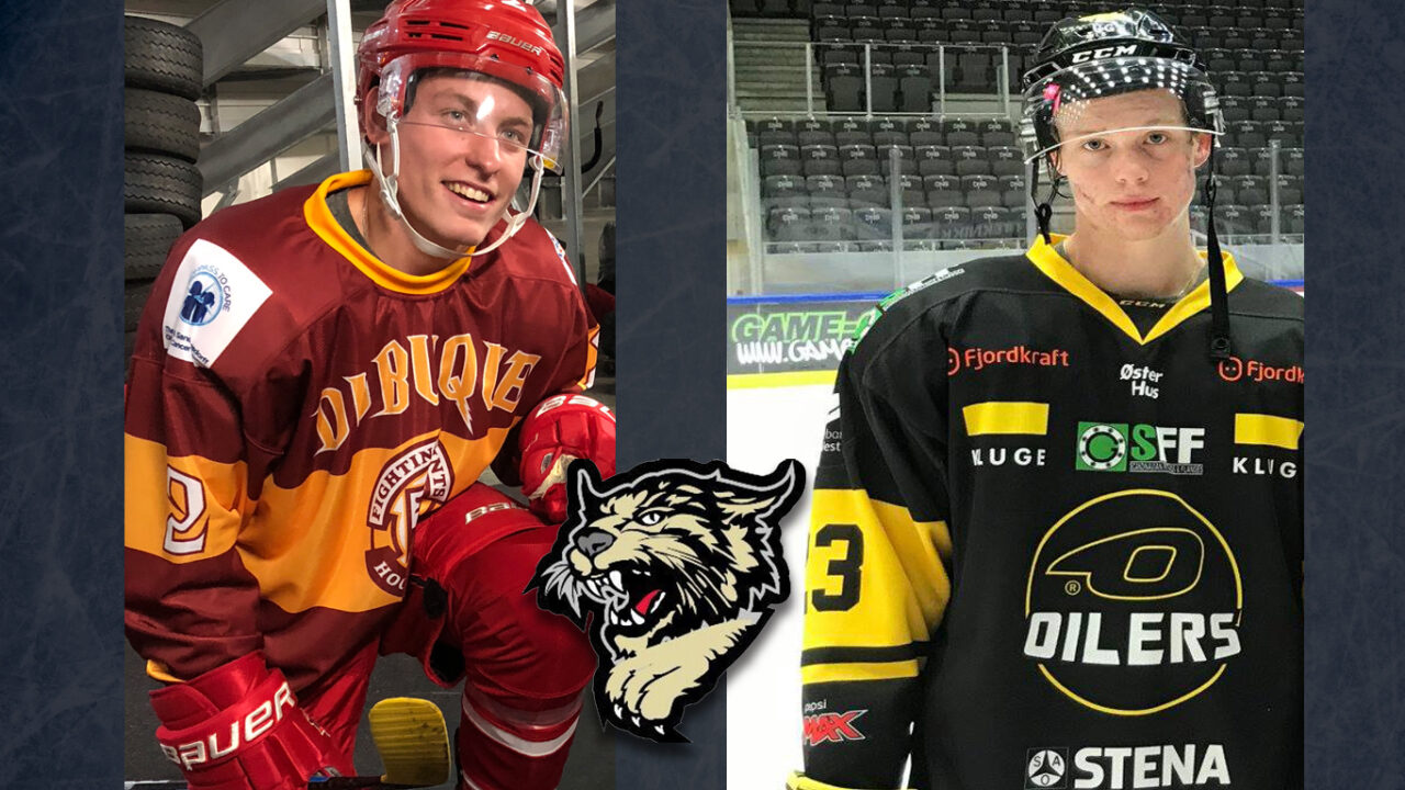 ‘Cats Add Rødne, Martel - BISMARCK BOBCATS