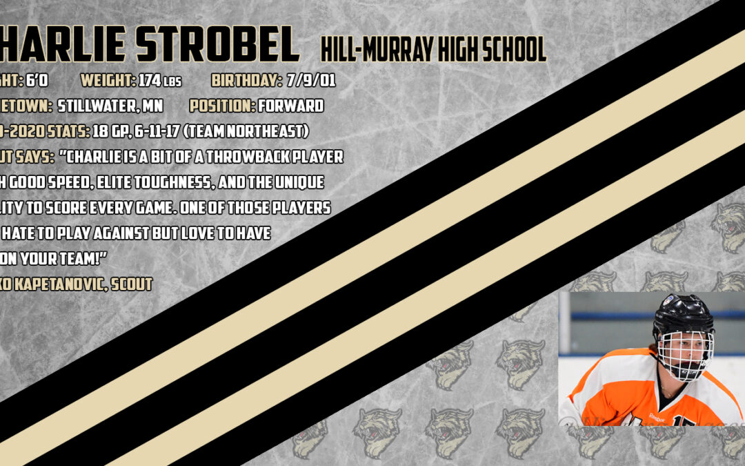 Strobel Signs Tender with Bobcats