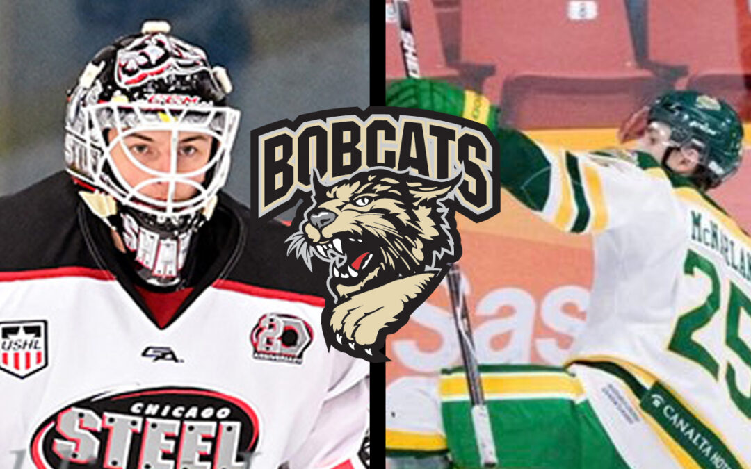 Bobcats Acquire Two in Trades