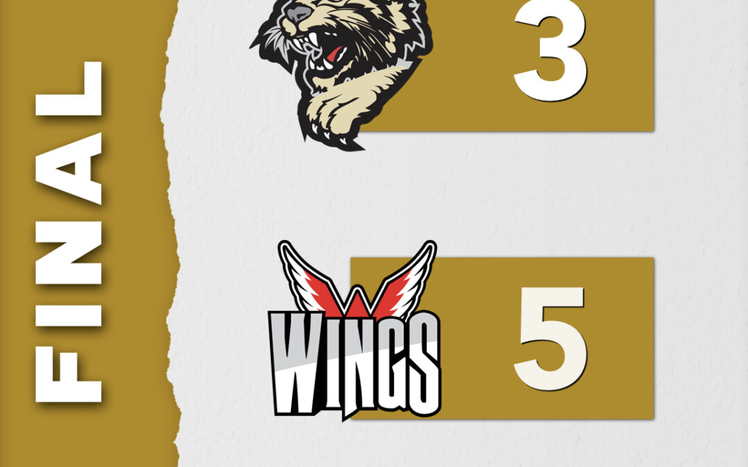 Bobcats and Wings Split Second Straight Series