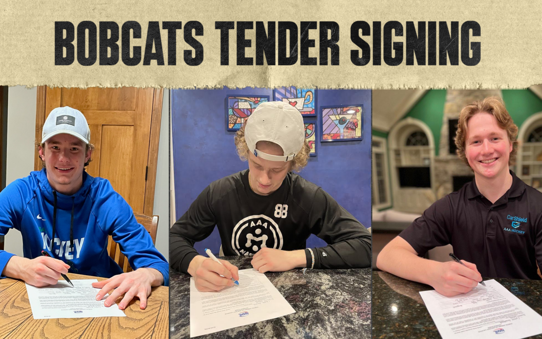 Bobcats Sign Three To Tender