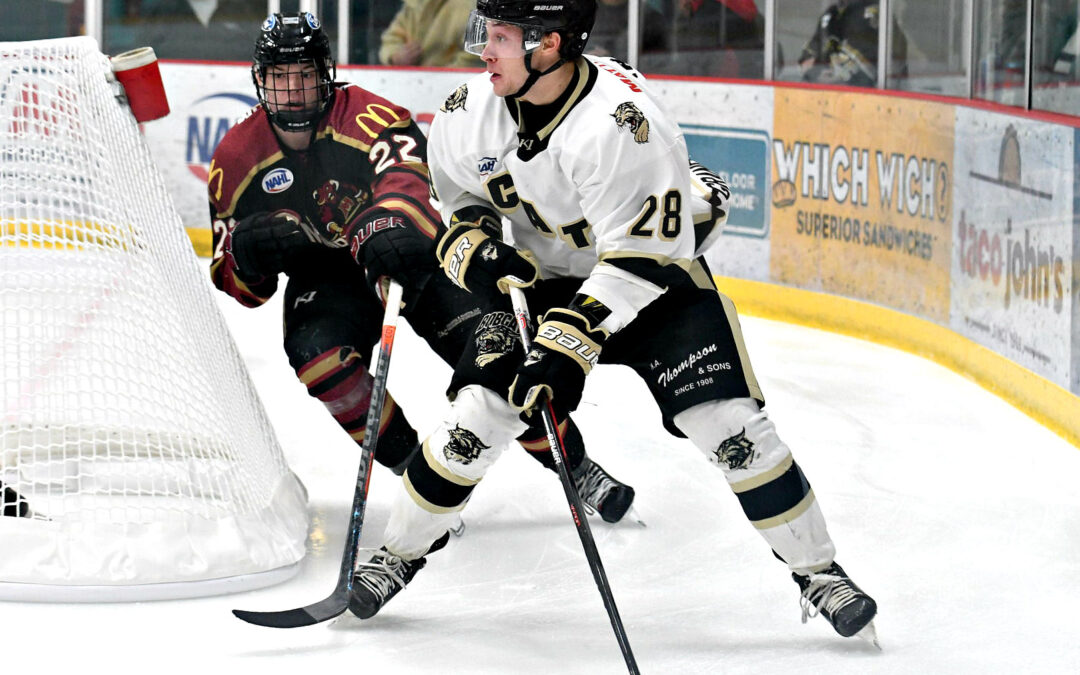 Bobcats Drop Pair of 4-3 Decisions in Minot