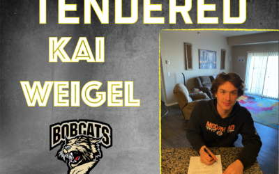 Kai Weigel tendered by Bobcats