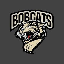 BISMARCK BOBCATS logo