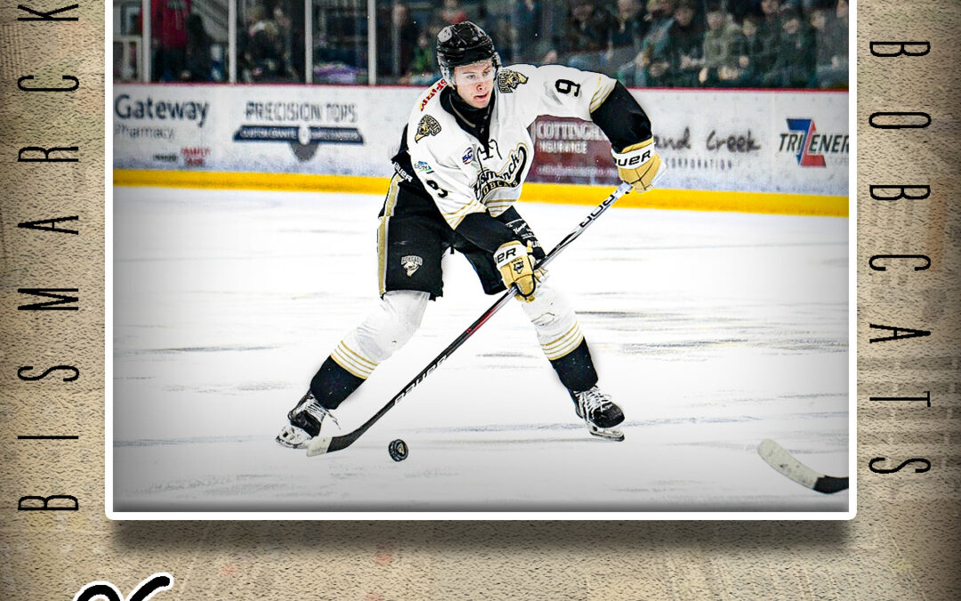 Bobcat Defenseman Calle Arvedson Signs Pro Contract with Mörrum GoIS