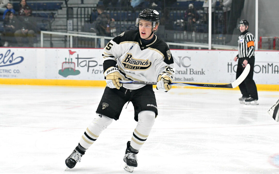 Bobcats Oust Shamrocks in Weekend Series in Watertown