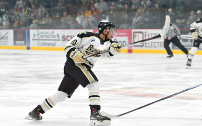 Bobcats Gain Three Points in Home Series against Bulls