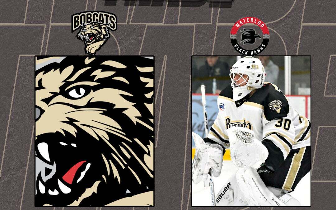 Bobcats Complete Series of Trades