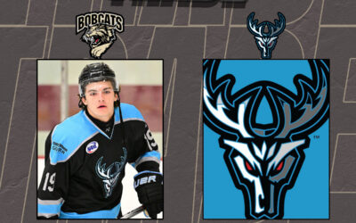 Bobcats Acquire Veteran Teddy Richardson