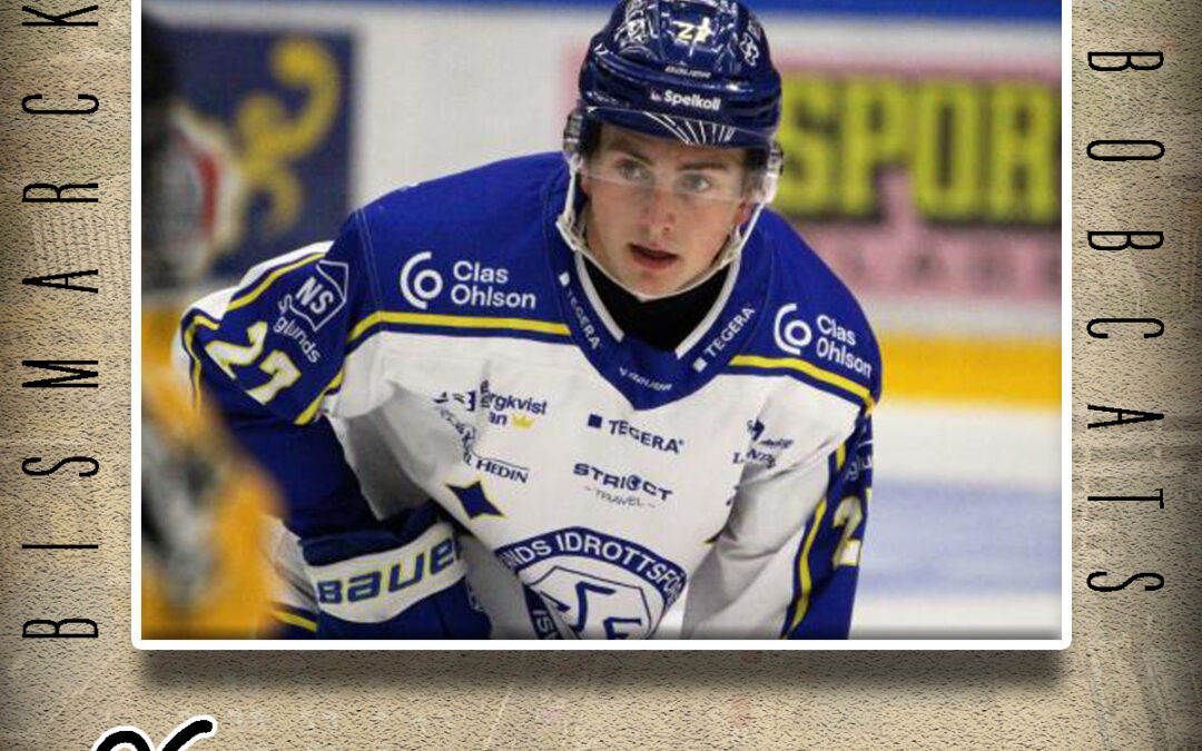 Bobcats Add Pair of Swedes Ahead of 2nd Half