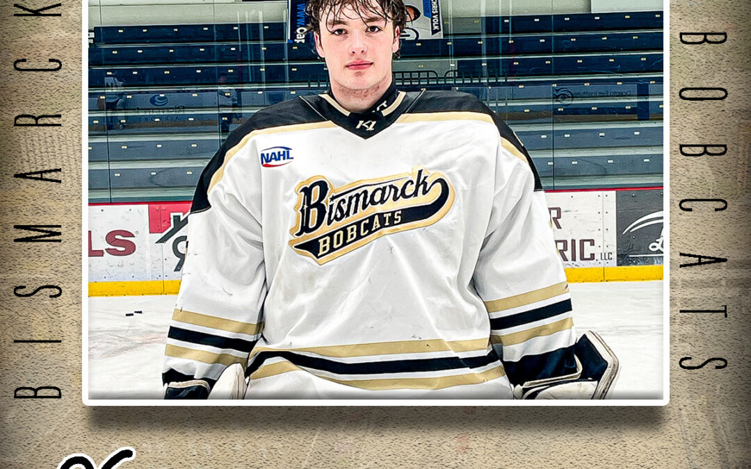 Bobcats Add Goaltender Evan Hazelberg from Jr. Coyotes