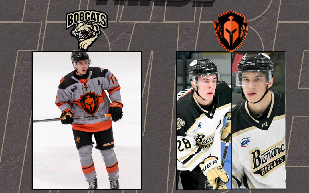 Bobcats Complete Trade with Warriors