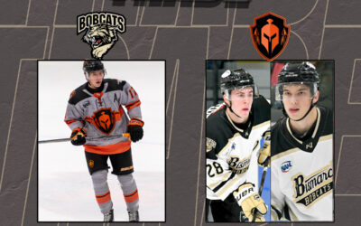 Bobcats Complete Trade with Warriors