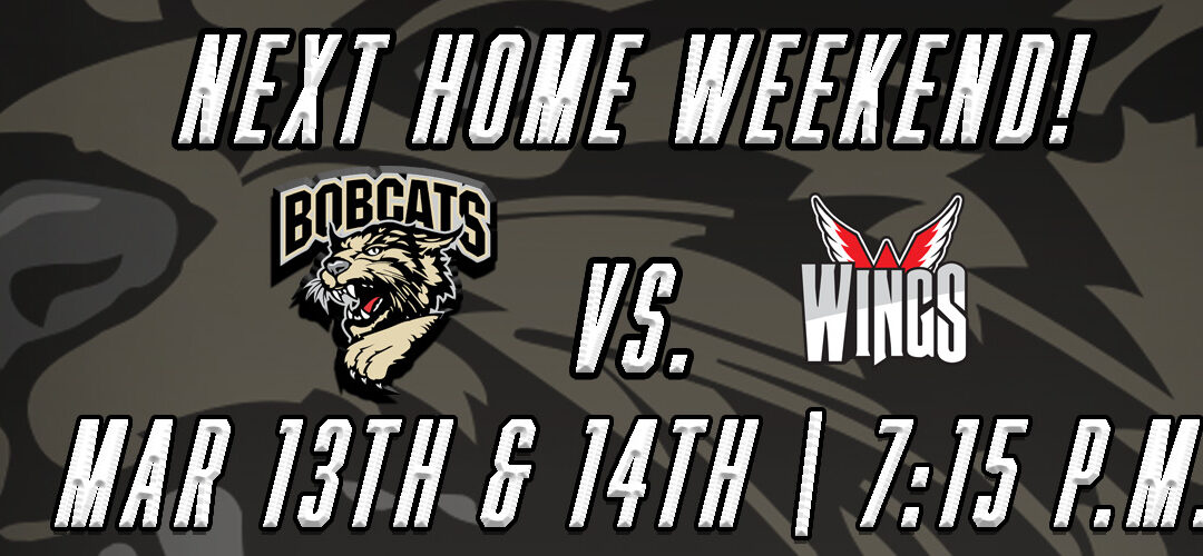 Bobcats Take on Wings in Battle between Top 3 Teams