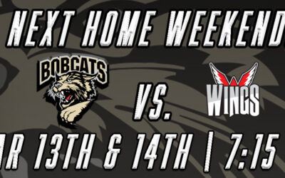 Bobcats Take on Wings in Battle between Top 3 Teams